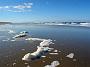 042 Texel
